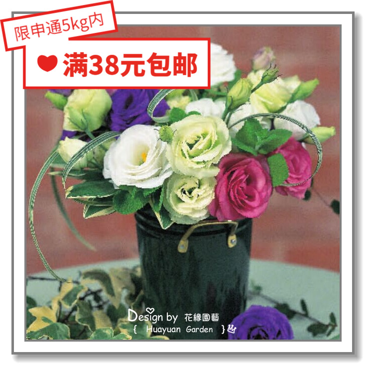 Huayuan pickles imported flower seeds * Japan SAKATA * rose-shaped cut flower eustoma * Lucita 10 pills