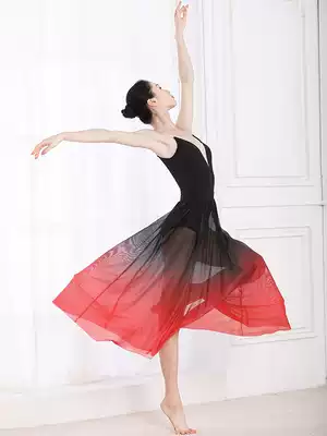 Dance skirt half skirt long version of Big swing color classical Chinese dance teacher gauze skirt adult ballet practice long skirt