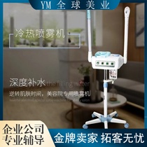 Silver Fox Thermal Sprayer Hot and Cold Dual Spray Facial Steamer Beauty Salon Special Nano Hydration Medicinal Ion Sprayer