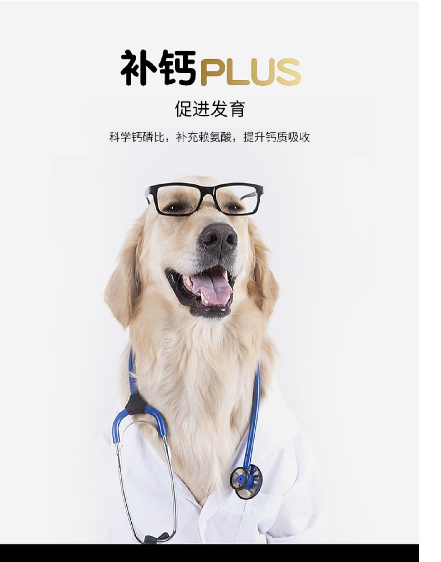 Thức ăn cho chó lông 3 kg lông đẹp đến nước mắt Teddy VIP Golden Retriever dành cho người lớn nói chung thịt tươi đông lạnh thức ăn khô - Chó Staples hạt zenith