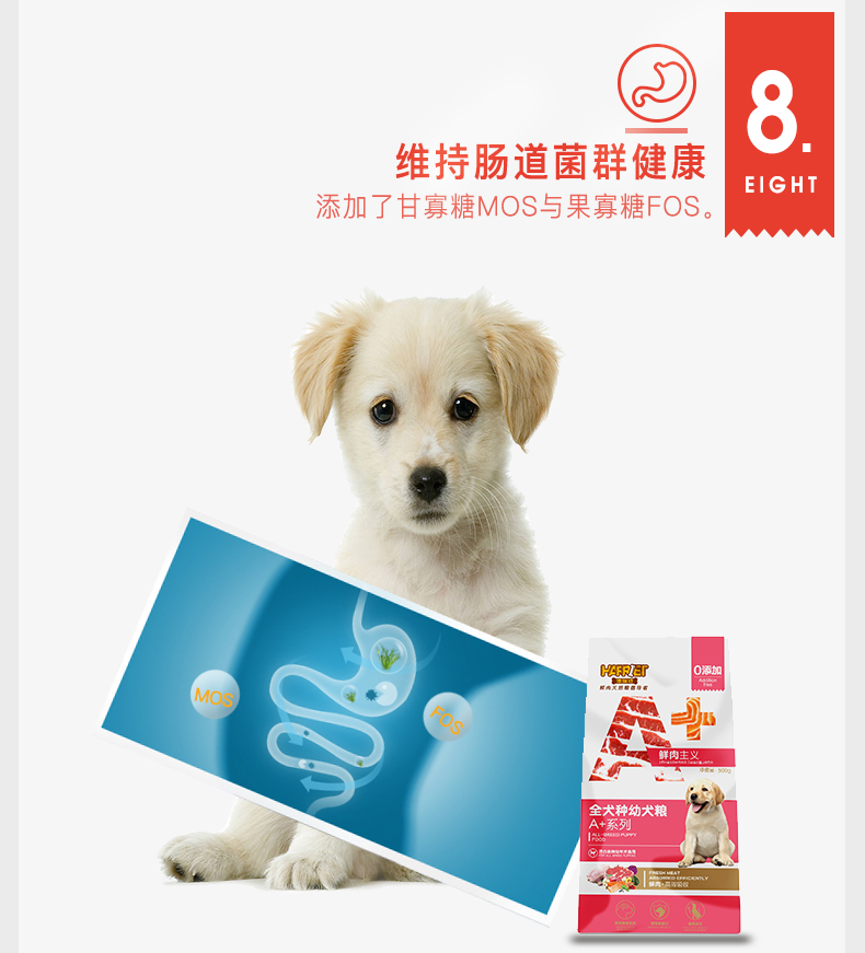 Thức ăn cho chó Hairuite Teddy VIP Jinmaosamo chó con thức ăn cho chó nói chung A + thịt tươi 1 kg - Chó Staples thức an cho chó con