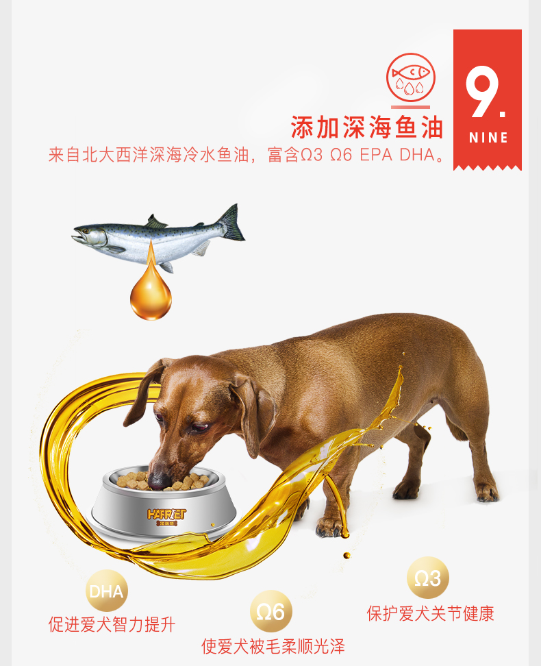 Hairuite dog thức ăn phổ biến chó con thực phẩm bánh sữa thịt tươi thức ăn cho chó 20 kg Teddy Golden Retriever giống chó A + thịt tươi - Chó Staples thức ăn cho chó giá rẻ