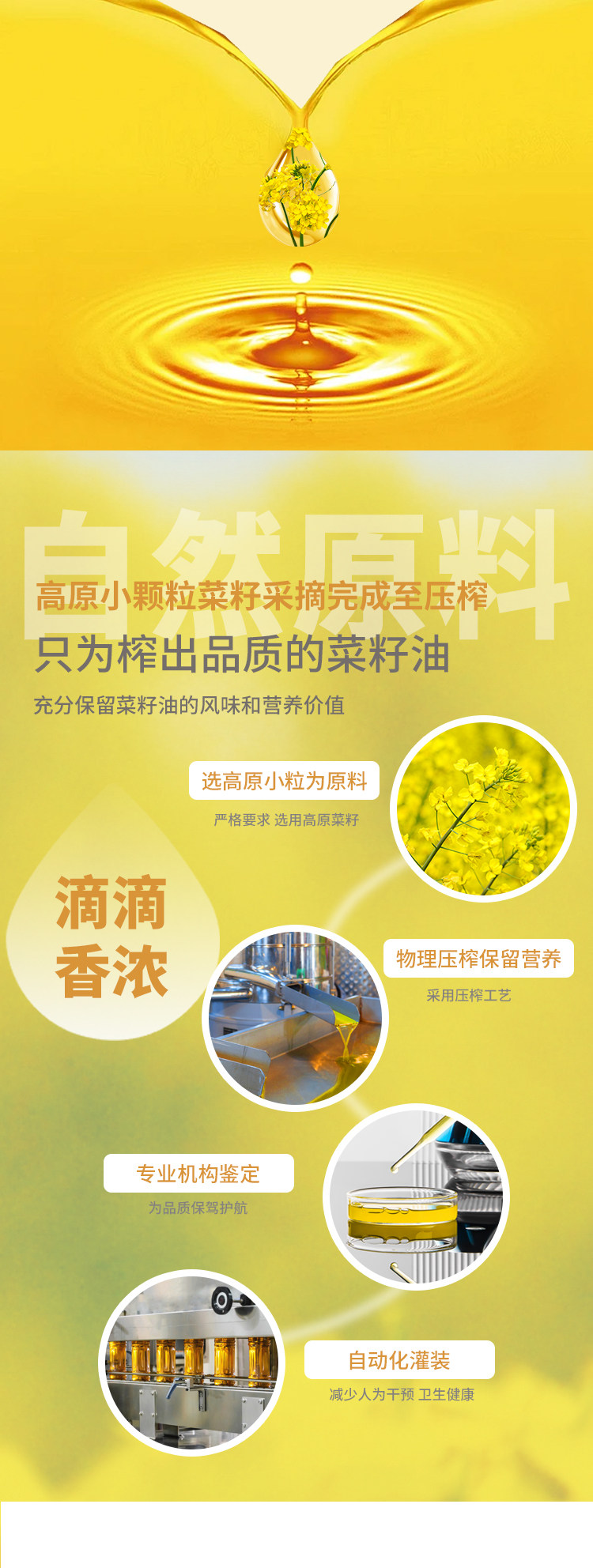安享好物 安享B级菜籽油-长安花初榨菜籽油 行标 