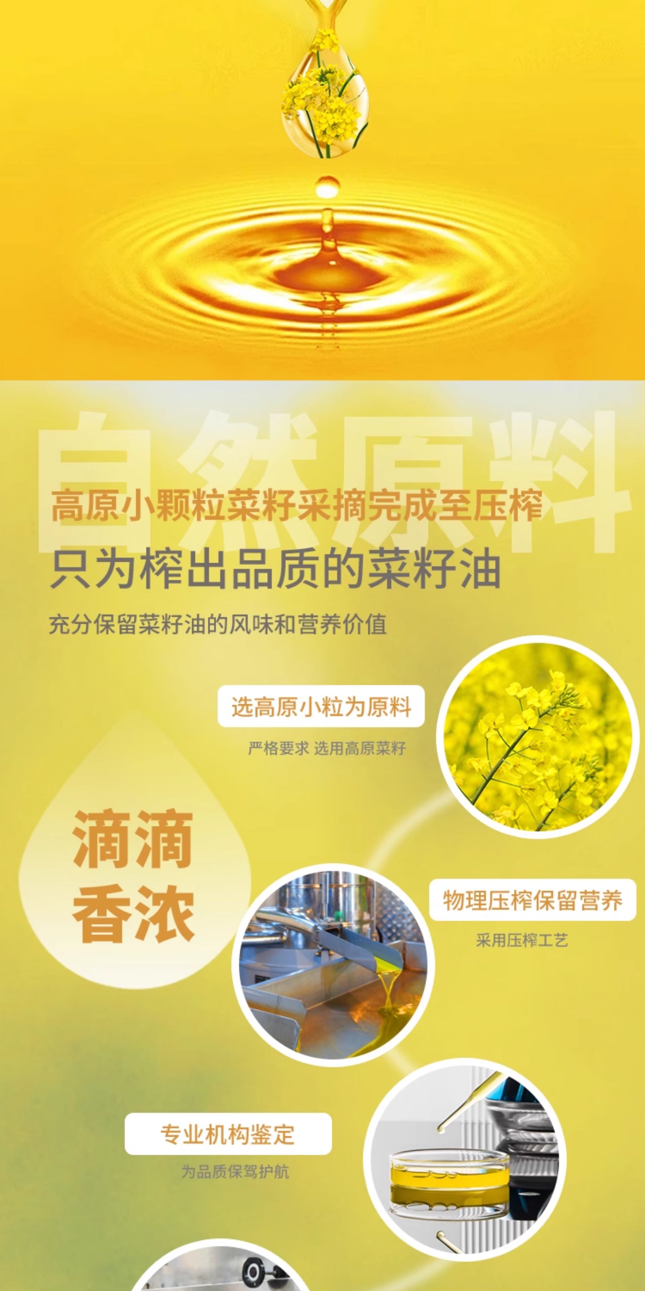 安享好物 安享A级菜籽油-长安花小榨菜籽油 行标 