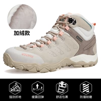 Бежево-дымчатая пудрово-бархатная женская модель 027