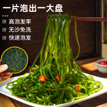 Carpenter compressed kelp silk drying independently loaded dry goods thick and cold mixed kelp seafood special to be free of washing high bubble hair rate