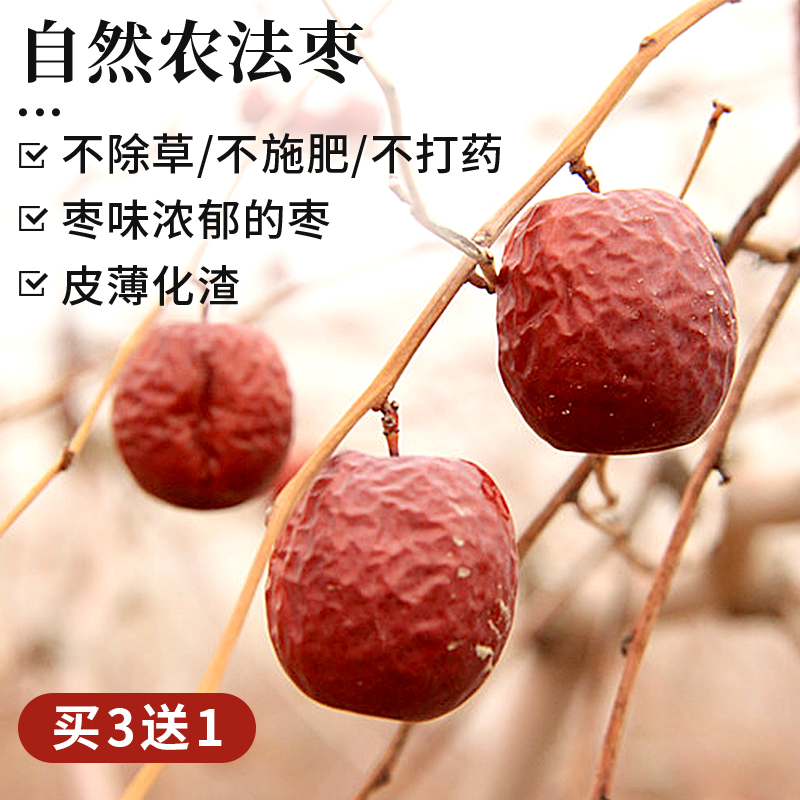 Pu are you just expecting bricklayers to food health-preserving this jujube delicious but too expensive yield only 80 catties natural farming lunar November hanging jujube 200g