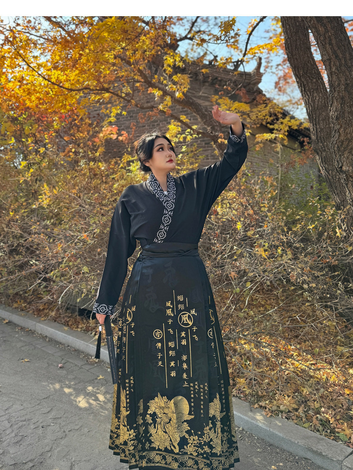 китайский костюм 梦唐记凤凰于飞原创大码汉服胖mm冬季200斤大码马面裙文字织金