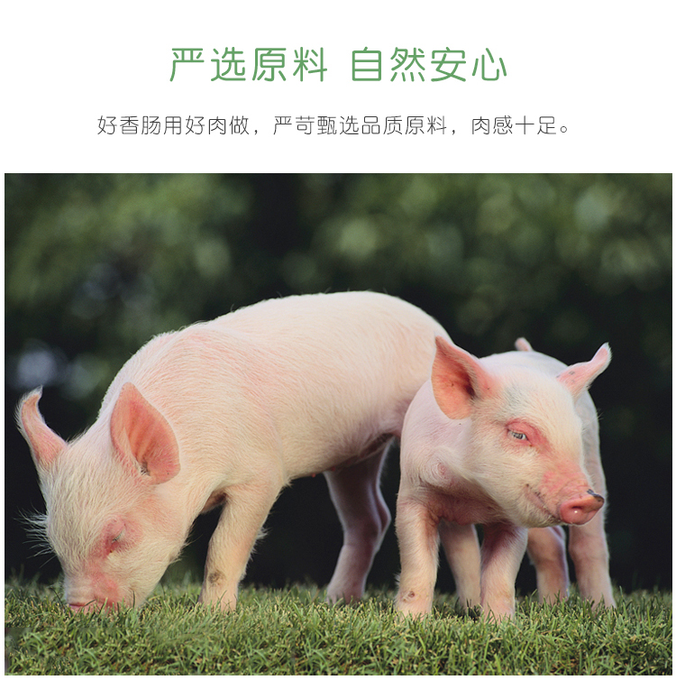 广式腊肠 腊肉咸甜味香肠500g 图5