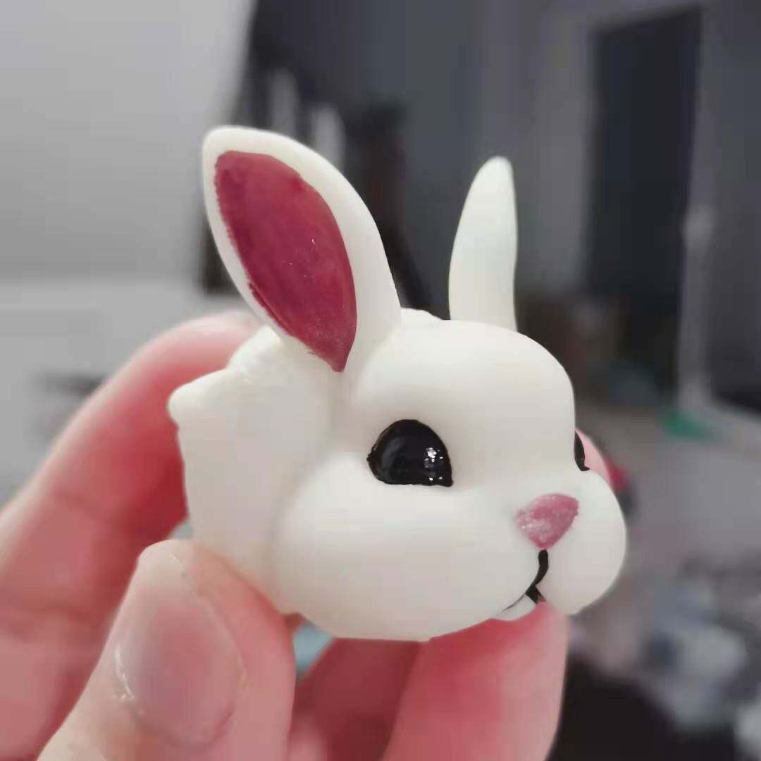 Mibao 3D Workshop Little White Rabbit Pikachu Geng Ghost Hermit Crab 3D Printing Transparent Replacement Shell My Chinese Heart