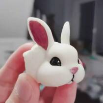 Mibao 3d Workshop Small White Rabbit Leather Kachu Geng Ghost Hosts Crab 3d Print Transparent Replacement Shell
