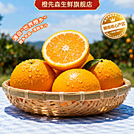 橙先森赣南脐橙产地现摘直发橙子10斤
