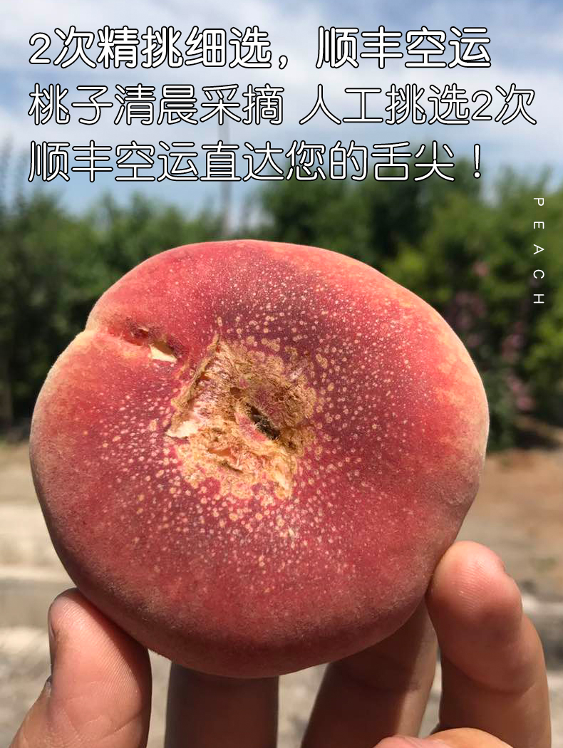 中国最好吃的蟠桃 新疆石河子143团一级黄金蟠桃 带箱6斤 图5