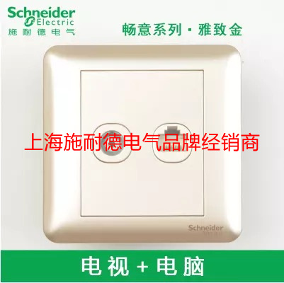 Schneider Switch Socket Changyi Series Elegant Gold 86 Type TV Computer Panel A3G52TV_RJ5EWG