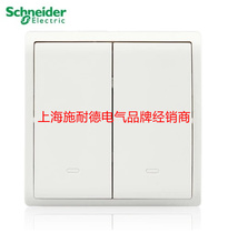 Schneider Fengshang series white 16A dual dual control switch switch socket panel E8232L2F