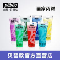 Beibeou semi-matte acrylic pigment 500ml canned 100ml tube outdoor wall painting special indoor waterproof acrylic paint diy hand painted T-shirt painted stone model transparent paint