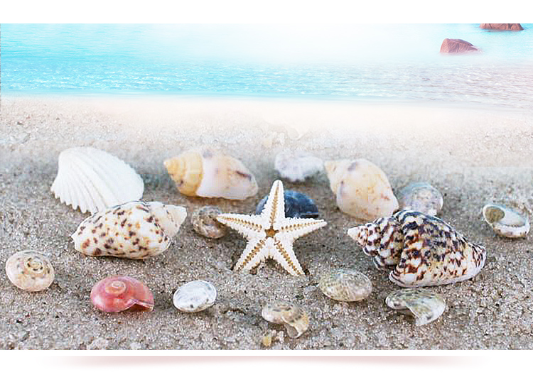 Nhật bản Nail Art Trang Sức New Starfish Shell Set Nail Sticker Hàn Quốc Gió Đại Dương Abalone Seashell Công Cụ Làm Móng Tay máy làm nail