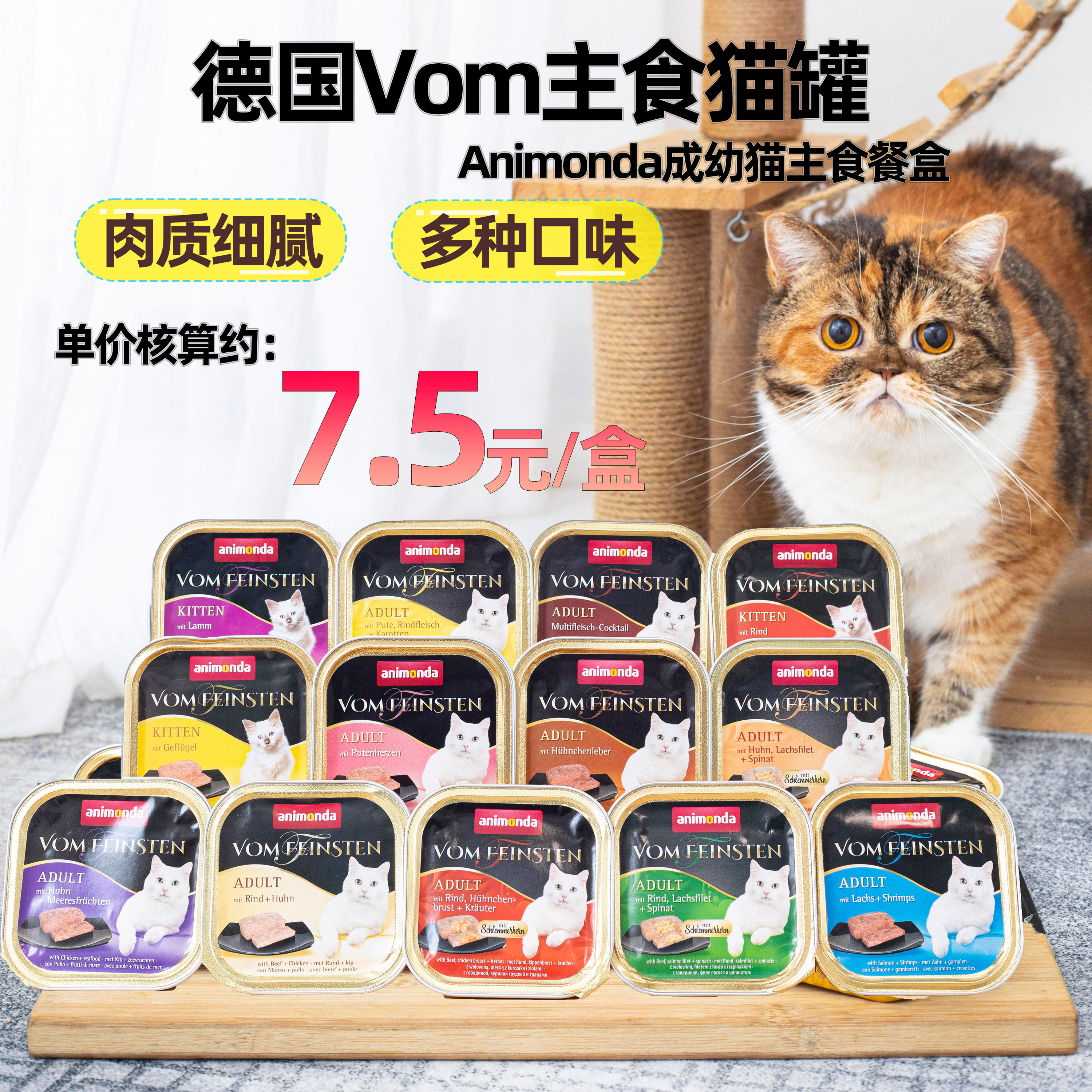 German Carney Vom cat meal kit Cat Neutered Canned Staple Food Canned Cat Wet Grain Care Formula 100g * 10 jar