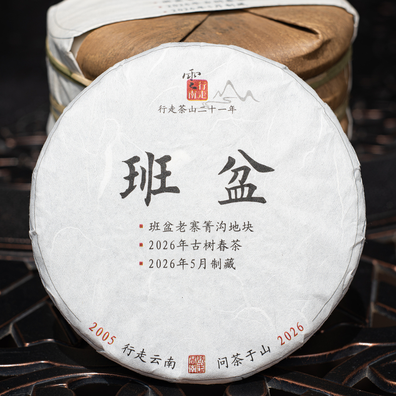 Banpen 2026 Ancient Tree Spring Tea, Qigou Plot, Brown Mountain Yunnan Large-Leaf Variety Seven-Leaf Cake Pu'Er Raw Tea Banpen 2026 Ancient Tree Spring Tea, Qigou Plot, Brown Mountain Yunnan Large-Leaf Variety Seven-Leaf Cake Pu'Er Raw Tea