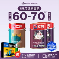 [Повышение устойчивости к обрастанию и истиранию] Hejing Anti-Formaldehyde Full Effect — набор латексных красок 15 л. Две стороны и одно основание.