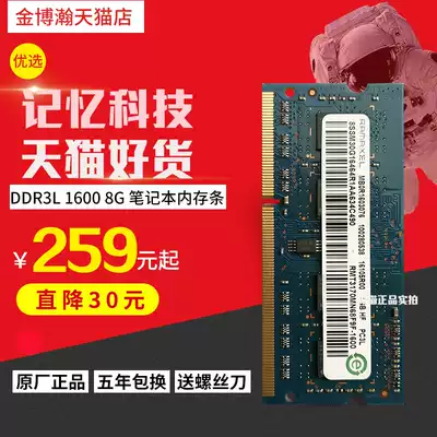 Notebook computer memory 8 a 1600 13333 suitable for compatibility