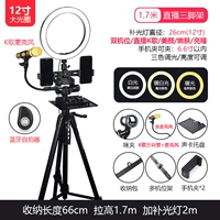 [Принесите микрофон] 1,7 -метровый штатив+звуковой вокальный набор кака+k Song Spest Pipe Clip+Dual Machine+12 -INCH Beauty Light+Microphone