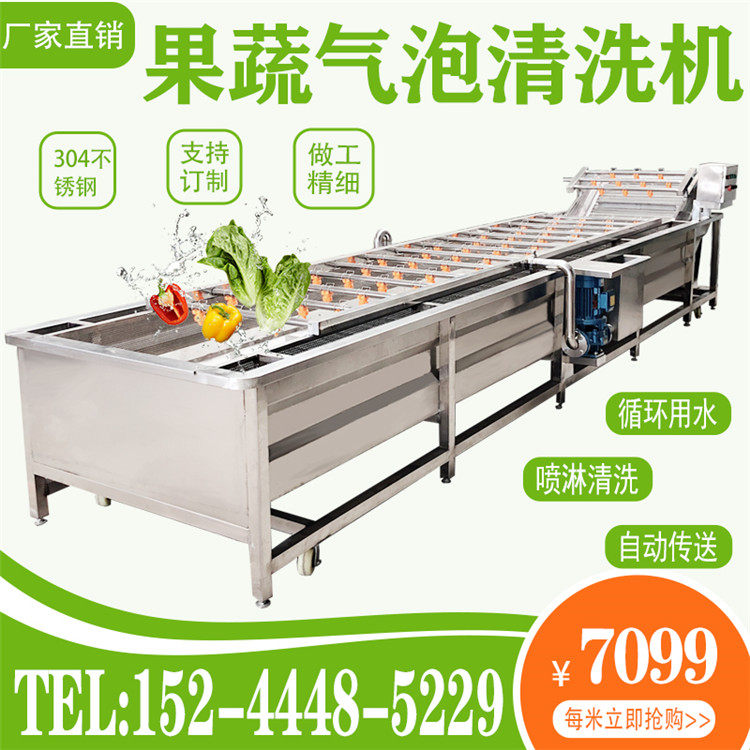 Large commercial fruit and vegetable spray cleaning Cherry beads Citrus edamame bubble cleaning machine Pear paste pepper deep processing equipment