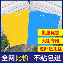 On the new double-sided sticky insect board waterproof strong insect board special agricultural yellow basket integrated thrips trapping and killing special sticky