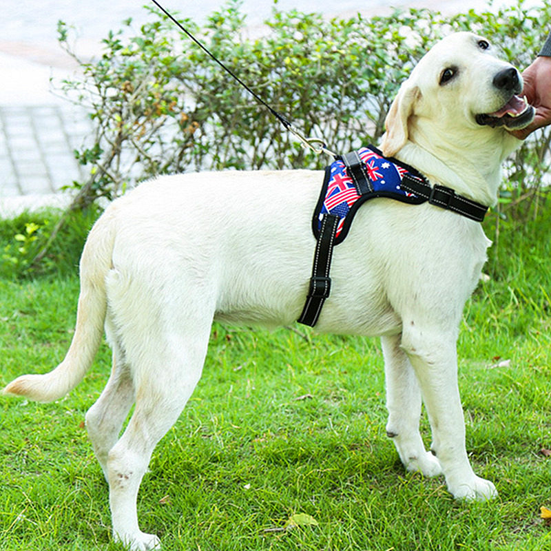 Large and small dog chest holding baby bag medium-sized dog dog traction rope dog vest type dog holding baby bag walking dog general golden retriever supplies