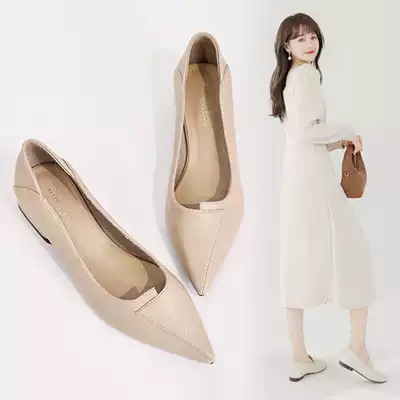 Small ckerwin shoes Tide brand Hong Kong style single shoes with skirt autumn and winter Net red pointed head shallow middle heel thick heel single shoes women's shoes