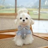 BOWWW Осень и зимняя теплая ткань милая домашняя куртка для свитера Мальтии Йоркшир Бичин Одежда собак