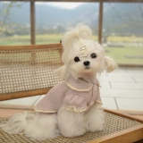 BOWWW Осень и зимняя теплая ткань милая домашняя куртка для свитера Мальтии Йоркшир Бичин Одежда собак