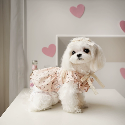 Благодарность домашняя питомец роза Принцесса Юбка Малзис Беркоса Кука Летняя кошачья собака одежда маленькая собака