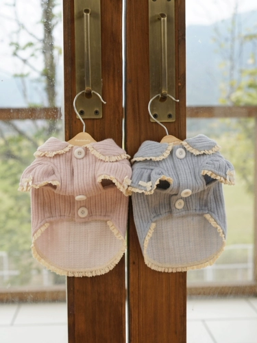 BOWWW Осень и зимняя теплая ткань милая домашняя куртка для свитера Мальтии Йоркшир Бичин Одежда собак