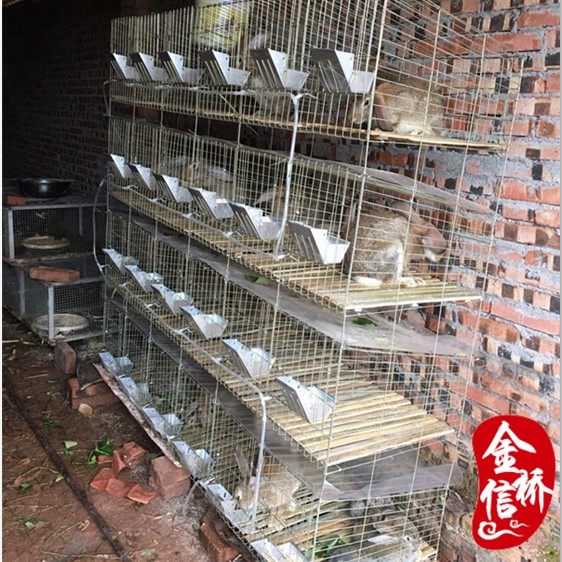 12-bit female, 9-bit breeding rabbit, large rabbit cage, 24-bit commercial rabbit cage, bold and encrypted special rabbit cage breeding