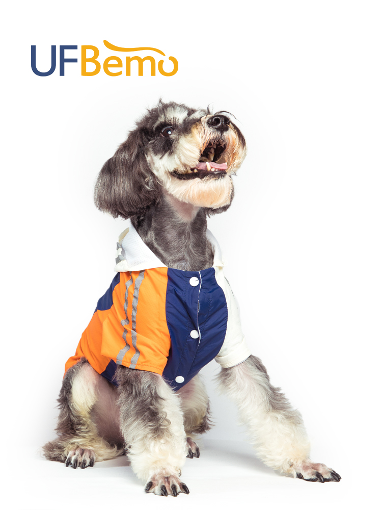 UFBemo trendy brand dog sweater autumn and winter thickened French fight Teddy Corgi Bomei four-legged color-coloured clothes traction mouth