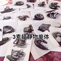 Sketch copying fan painting card copying picture Childrens Art creative material drawing hand-painted animal painting cartoon