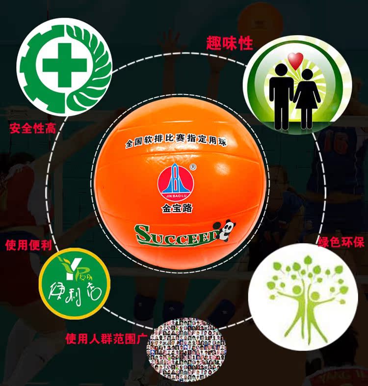 Ballon de volley-ball - Ref 2009040 Image 6