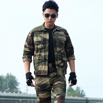 New cotton camouflage suit men's outdoor spring and autumn military fans casual clothing labor protection stain-resistant wear-resistant overalls