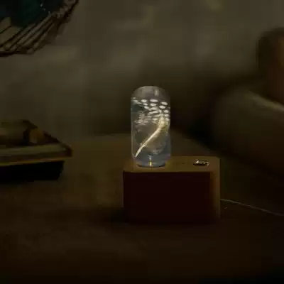 EPLight feather aesthetic lamp LED lamp feather night light atmosphere lamp Tanabata birthday gift