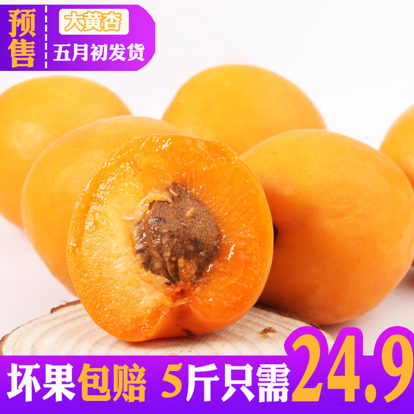 预售 果江庭 山西运城新鲜黄杏 5斤 天猫优惠券折后￥19.9包邮（￥24.9-5）