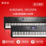 Kuzwell Kurzweil Lighting Stage Электрическая сталь SP1 SP1 88 Ключевая стадия производительность электрическое пианино