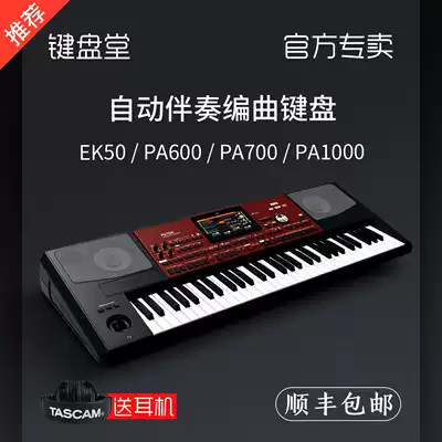 KORG Keyin EK50 arrangement keyboard synthesizer PA700 PA600 PA1000 automatic accompaniment electronic organ