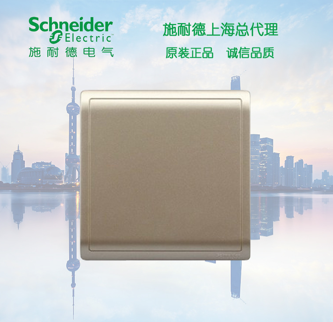 Schneider switch socket panel Fengshan champagne gold socket bezel blank panel Fengshankin white board