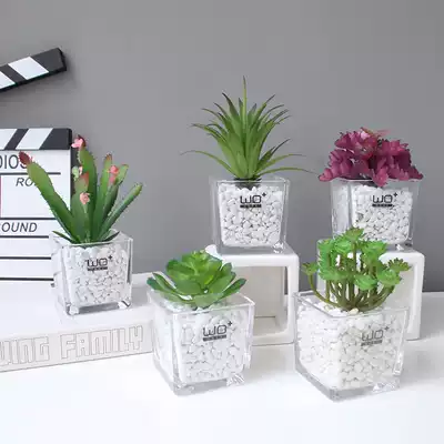 Simulation succulents office decoration ins combination Balcony decoration Nordic grid cabinet decoration decoration