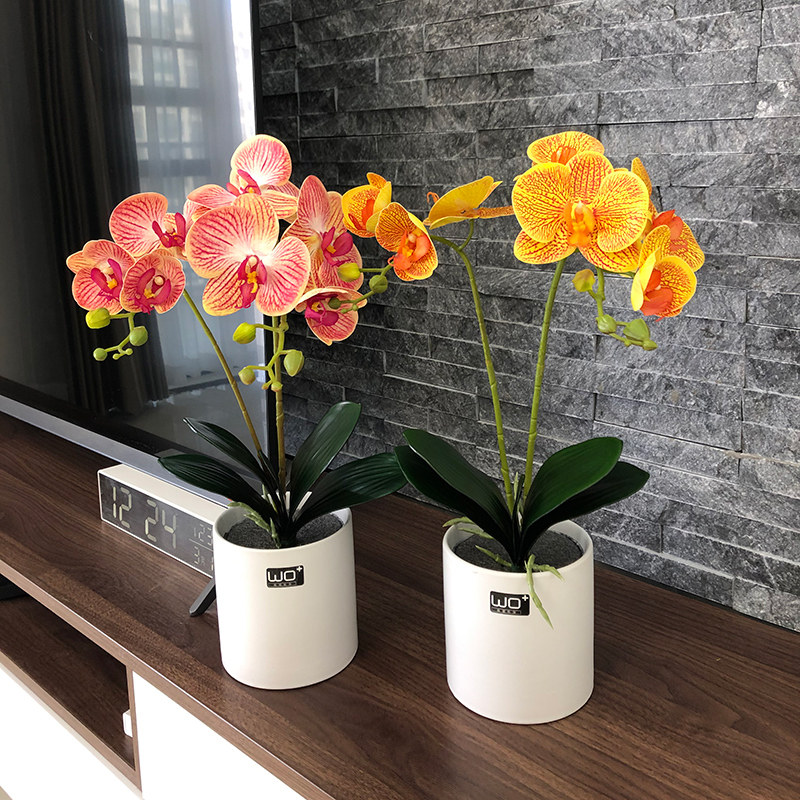 Wo butterfly Langhand simulation living room furnishing decorated flower TV cabinet Xuanguan table flower swinging piece fake flower potted plant-Taobao