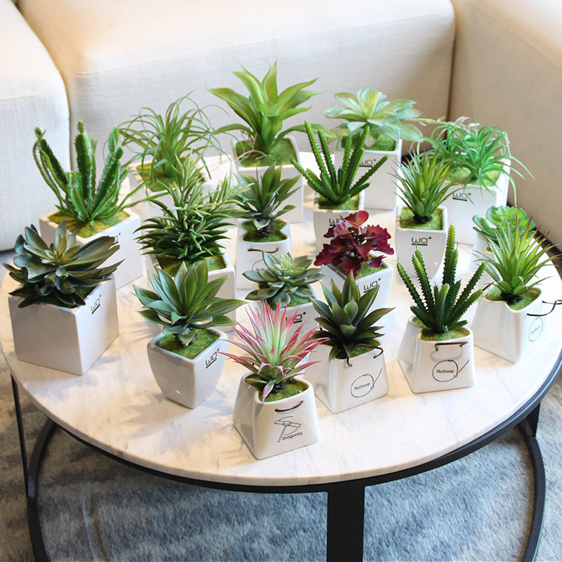 wo high emulation multi-meat green plant with ceramic flowerpot fresh Nordic wind shelves Wash Desk Decoration Pendulum-Taobao