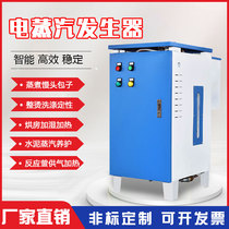  Electric heating steam generator Automatic cooking curing and ironing Industrial steam boiler 9 12 36 48KW