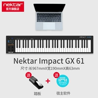 GX61+педаль+подлинное программное обеспечение Bitwig