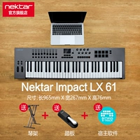 LX61+педаль+стойка+подлинное программное обеспечение Bitwig